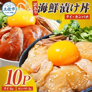 【訳あり】海鮮漬け丼（タイ6P・カンパチ4P）セット 高知県土佐市 【企業組合　宇佐もん工房】 [BQAB028]