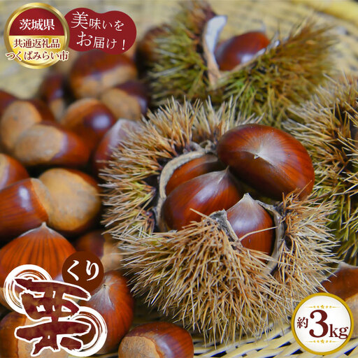 【先行予約】栗　約3kg【茨城県共通返礼品 つくばみらい市】 No.300