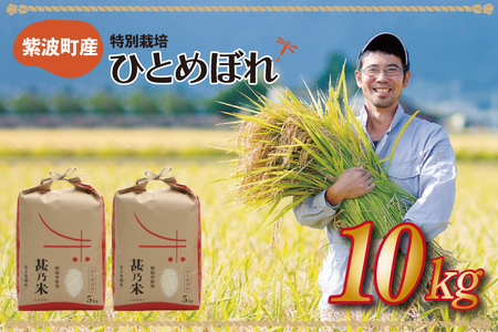 【精米】令和7年産 甚乃米 ひとめぼれ 10kg 白米 精米 AC023