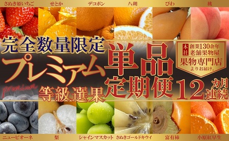 [数量限定!]旬の見極めこの一品!プレミアム等級選果の12ヶ月連続単品定期便♪ 苺 せとか 葡萄 蜜柑 びわ 桃 梨 柿
