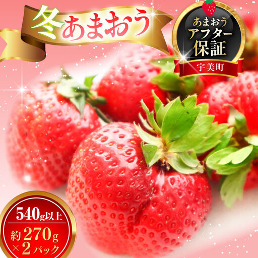 いちご あまおう 冬 540g以上 いちご