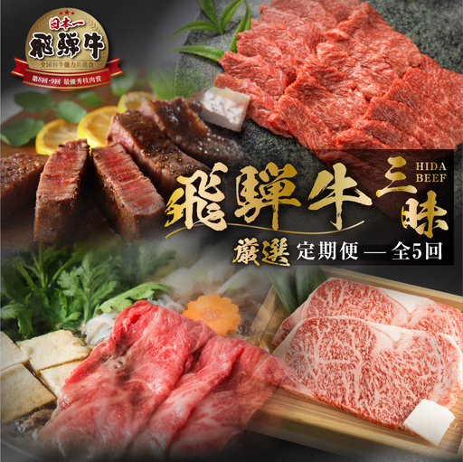 定期便 飛騨牛 三昧 肉 全5回 定期便 [S526_fu]