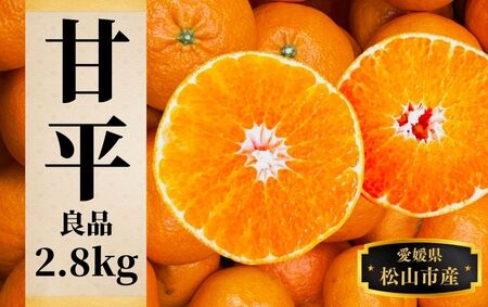 【2027年2月頃から順次発送】【甘平】約2.8ｋｇ（良品） みかん ブランド 柑橘 フルーツ 果物 愛媛 松山【PT038_x】