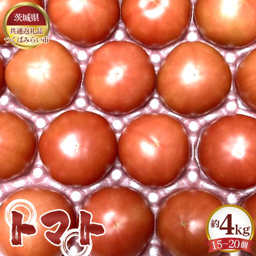 トマト　約4kg（15～20個）【茨城県共通返礼品 つくばみらい市】 No.331