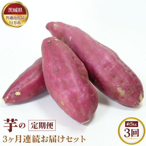 【先行予約】芋の3ヵ月連続お届けセット　約5kg×3回【茨城県共通返礼品 行方市】 No.371