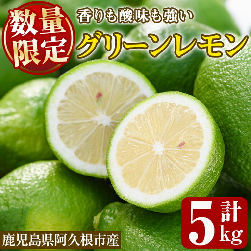 ＜先行予約受付中！2026年9月以降順次発送予定＞数量限定！リスボングリーンレモン(5kg)国産 果実 果物 リスボンレモン フルーツ 檸檬 柑橘 デザート 期間限定【桐野柑橘株式会社】akn070-14