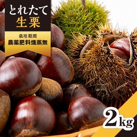 厳選品種生栗2kg　三ツ星フレンチ使用　サイズ小　_生栗 無農薬 有名フレンチ くり_【配送不可地域：離島】【1434373】
