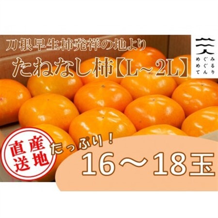 【R8年10月以降発送】刀根早生柿発祥の地※より「たねなし柿」L~2L(1段箱16～18玉)_果物・フルーツ 柿（カキ）  かき_【配送不可地域：離島】【1434467】