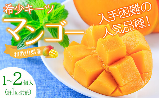 超希少なマンゴー［キーツ］約1kg 和歌山市［2026年9月中旬頃から発送］