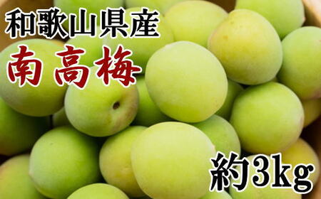 【和歌山名産】南高梅 約3kg（サイズ混合）・秀品【2027年6月上旬から6月下旬頃順次発送】【TM175】【TM92183-tec939B】