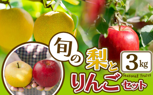 [先行予約]数量限定・期間限定[陽気な母さんの店] R8年産「旬の梨とりんご詰合」(3kg)50P3426[陽気な母さんの店 ]