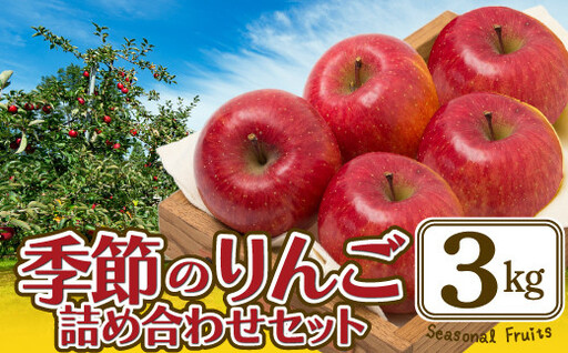 【先行予約】数量限定・期間限定【陽気な母さんの店】季節のりんご詰合(3kg) 65P009005-03-oi3【陽気な母さんの店 】