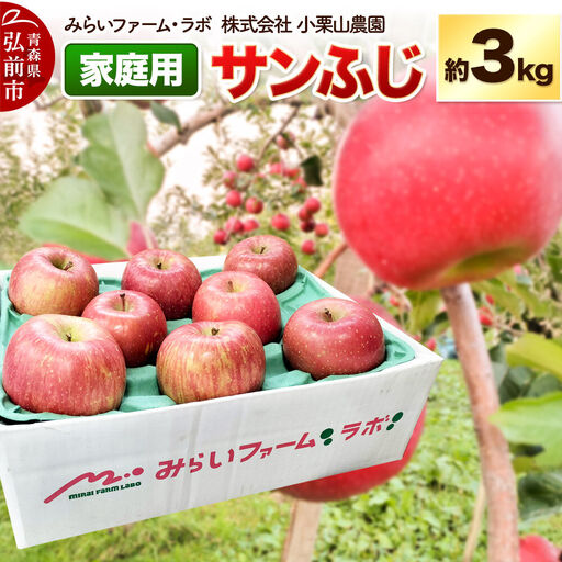 [26年12月発送]りんご[家庭用]サンふじ 約3kg 先行受付