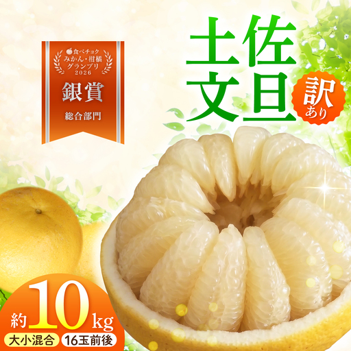 【先行予約】本場、高知県土佐市産！ 土佐水谷農園の露地土佐文旦 家庭用10キロ 10kg 大小混合（Lから上限なし：16玉前後）〈2027年1月20日?発送〉高知県土佐市 【土佐水谷農園】 [BQBD004]