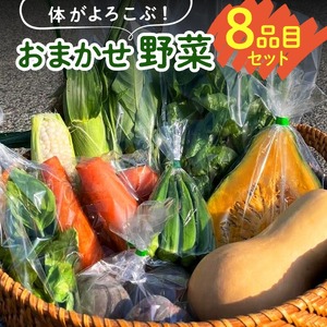 体がよろこぶ！おまかせ野菜8品目セット_体がよろこぶ 野菜 8品目 セット おまかせ 食べ頃 旬 品種 詰め合せ 新鮮 冷蔵発送 ヤングコーン ピーマン キュウリ オクラ ナス 白ナス ミニトマト かぼちゃ 人参 パクチー ケール 黒キャベツ ブロッコリー お取り寄せ 福岡県 久留米市 送料無料 〔Gv039〕