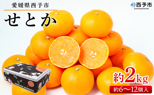 ＜せとか 約2kg（約6～12個入）＞ 果物 フルーツ くだもの みかん ミカン 蜜柑 セトカ オレンジ 柑橘類 甘い 食べて応援 贈答用 ギフト プレゼント 贈り物 期間限定 数量限定 旬 特産品 愛媛県 西予市【常温】『2027年2月下旬～3月下旬迄に順次出荷予定』UUB0038