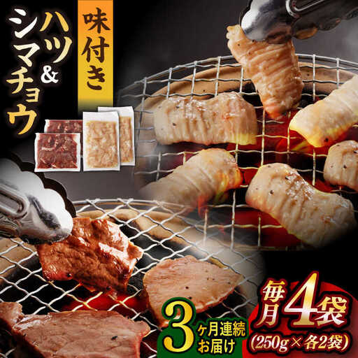 【全3回定期便】【塩だれ】九州産和牛 ホルモン2種 計1kg（ ハツ 250g×2袋・ シマチョウ 250g×2袋） 長与町/岩永ホルモン [EAX135]国産 牛肉 ミックス 小分け 味付き 冷凍 焼肉