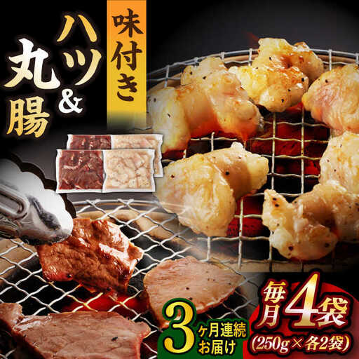 【全3回定期便】【塩だれ】九州産和牛 ホルモン 2種 計1kg [EAX143]