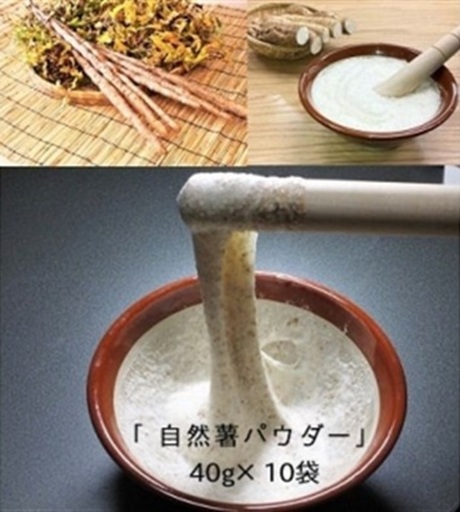 自然薯をおろさなくていいんです！自然薯パウダー 40g×10袋 水で溶いて手軽に召し上がれるフリーズドライの粉末 山芋 [0204]