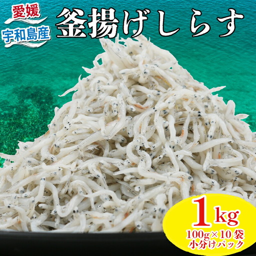 しらす 釜揚げしらす 100g × 10袋 計 1kg 時栄水産 釜揚げ 冷凍 小分け 魚 さかな sirasu 国産しらす ちりめん じゃこ 鰯 いわし しらす丼 海鮮丼 ご飯 おつまみ 加工品 ふりかけ 海の幸 魚介 小魚 離乳食 おすすめ 人気 産地直送 数量限定 国産 愛媛 愛媛県産 宇和島 D010-174001