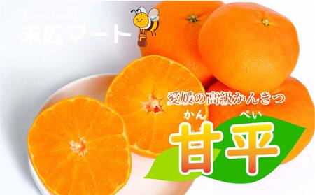 [2027年1月下旬ごろ順次発送]甘平 約3kg | みかん 柑橘 愛媛三大高級柑橘( 紅まどんな せとか 甘平 )[SHM0041]