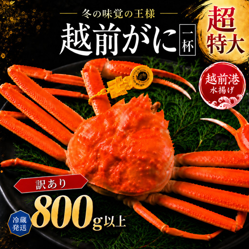 越前がに(オス)大サイズ訳あり 800g以上× 1杯