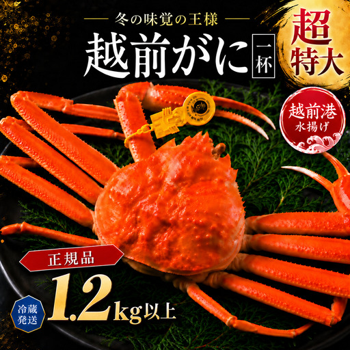 越前がに(オス)特々大サイズ 1.2kg以上× 1杯 越前ガニ 冷蔵