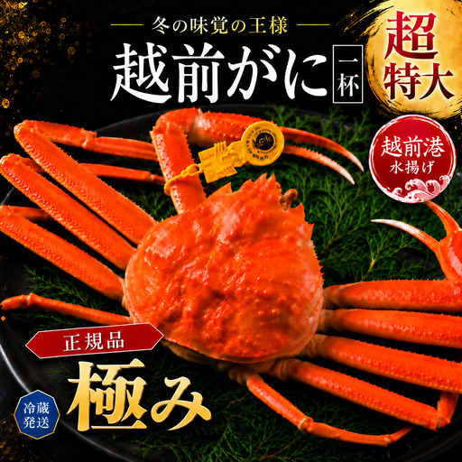 越前がに(オス)超特々大サイズ !! 極み× 1杯 最上級品のカニ 越前ガニ 冷蔵