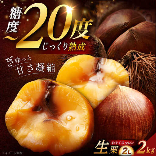 【先行予約】おやすみ栗（マロン）2kg（2Lサイズ） / 恵那市 / えな笠置山栗園 [AUAV001]