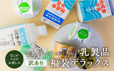 訳あり 福袋 [牧成舎]乳製品デラックスセット 牛乳 ヨーグルト チーズ お任せ 飛騨産生乳で作ったこだわりの乳製品セット まとめ買い 牧成舎[Q2209]