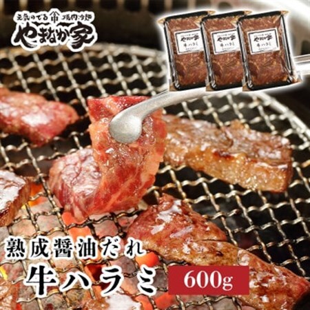 やまなか家の旨みたっぷり牛ハラミ【熟成醤油だれ】600g(K2-028)_肉 焼肉 牛肉 やきにく ヤキニク バーベキュー_【配送不可地域：離島】【1405429】