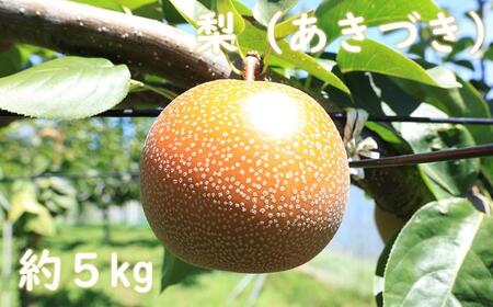 梨(あきづき)(約5kg)[2026年発送分]
