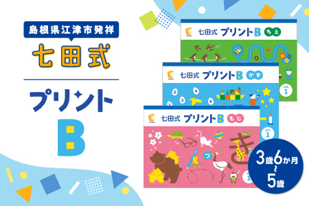 江津市限定返礼品 七田式プリントB 3歳半〜5歳|しちだ 七田式プリント プリント 教育 教材 勉強 子ども 子供 セット