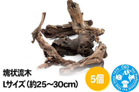 塊状流木 Lサイズ（約25～30cm）5個