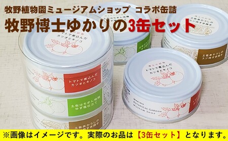 牧野植物園 ミュージアムショップ コラボ 缶詰 牧野博士 ゆかりの3缶 セット [1614]