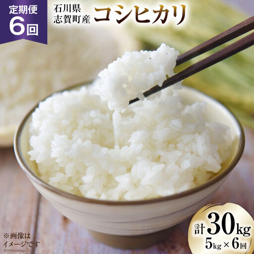 [6回 米 定期便][令和8年産]米 コシヒカリ 5kg ×6回 総計 30kg