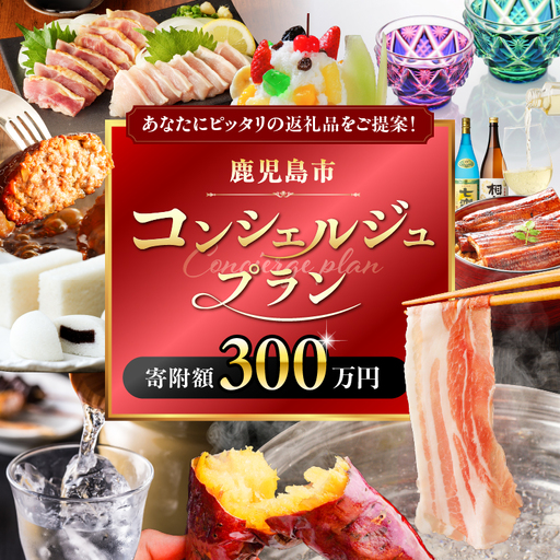 コンシェルジュプラン 寄付額 300万円 コース