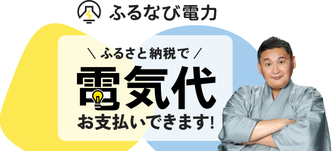 ふるさと納税でふるなび電力の電気代の支払いができる「電力ポイント」について