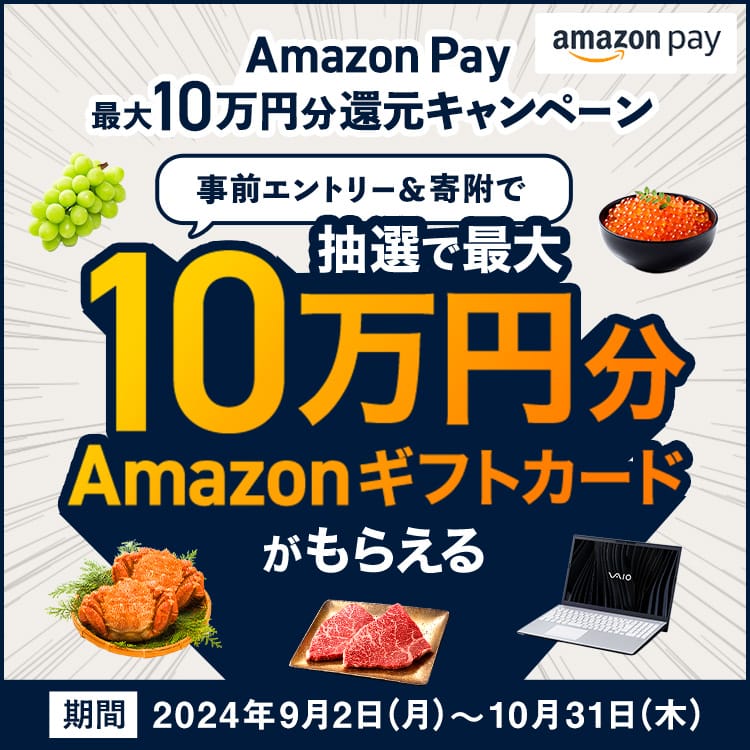 Amazon Pay 最大10万円分還元キャンペーン　事前エントリー＆寄附で、抽選で最大10万円分のAmazonギフトカードがもらえる キャンペーン期間：2024年9月2日（月）12:00～2024年10月31日（木）23:59