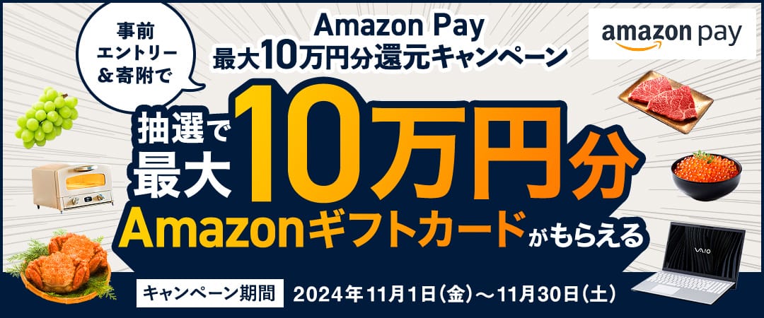 Amazon Pay 最大10万円分還元キャンペーン　事前エントリー＆寄附で、抽選で最大10万円分のAmazonギフトカードがもらえる キャンペーン期間：2024年11月1日（金）12:00～2024年11月30日（土）23:59