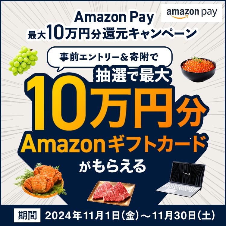 Amazon Pay 最大10万円分還元キャンペーン　事前エントリー＆寄附で、抽選で最大10万円分のAmazonギフトカードがもらえる キャンペーン期間：2024年11月1日（金）12:00～2024年11月30日（土）23:59