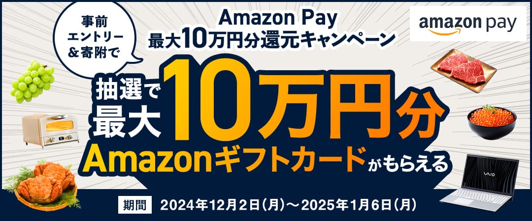 Amazon Pay 最大10万円分還元キャンペーン　事前エントリー＆寄附で、抽選で最大10万円分のAmazonギフトカードがもらえる キャンペーン期間：2024年12月2日（月）12:00～2025年1月6日（月）23:59