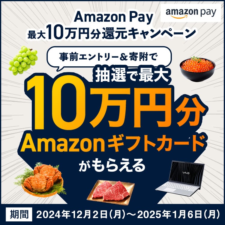 Amazon Pay 最大10万円分還元キャンペーン　事前エントリー＆寄附で、抽選で最大10万円分のAmazonギフトカードがもらえる キャンペーン期間：2024年12月2日（月）12:00～2025年1月6日（月）23:59