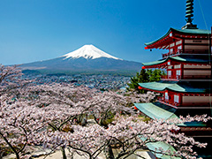 新倉山浅間公園(忠霊塔）