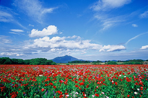 茨城県下妻市