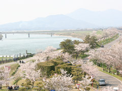 地域の発展をもたらした大河津分水