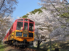嵯峨野トロッコ列車