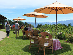 ほどほどの田舎暮らし