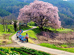 子育てしやすい町