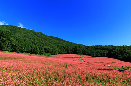 長野県箕輪町